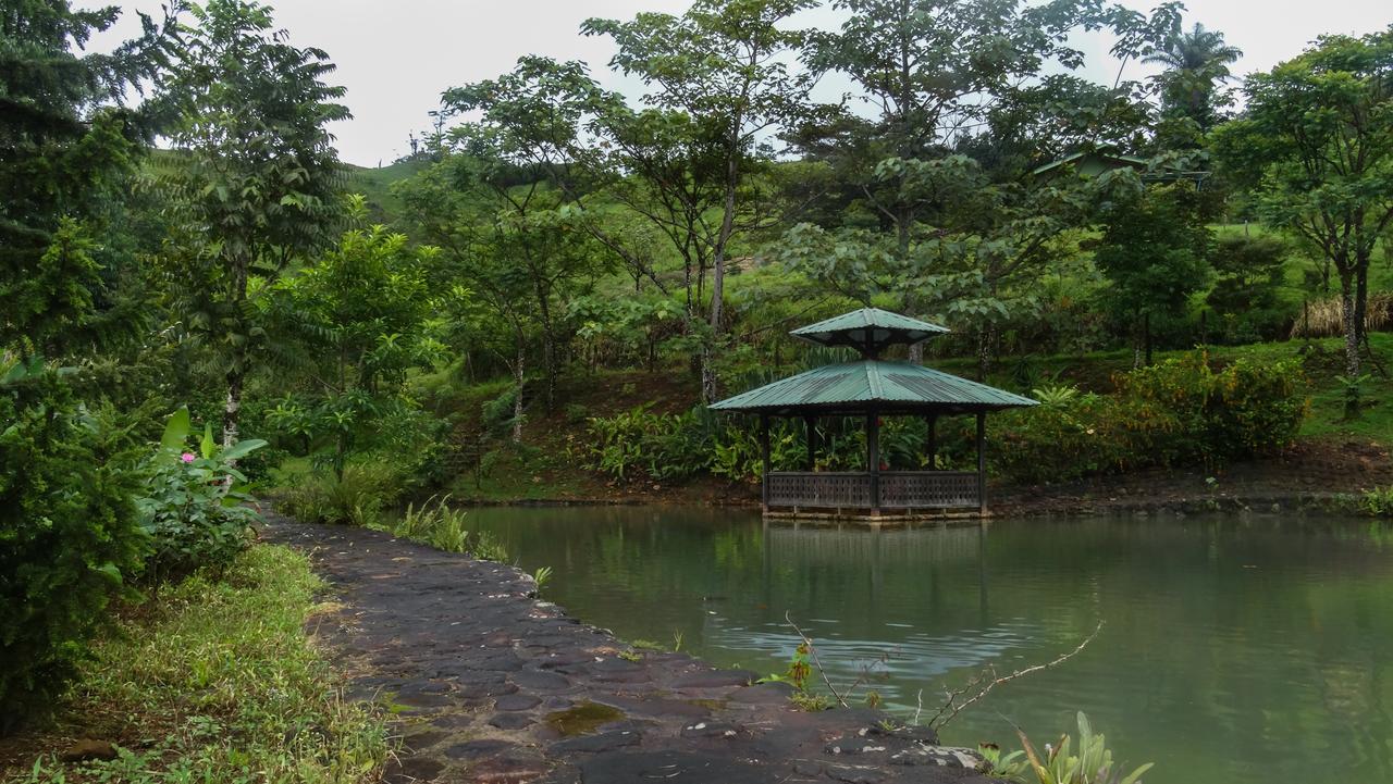 Malekus Mountain Lodge Aguas Claras  ภายนอก รูปภาพ